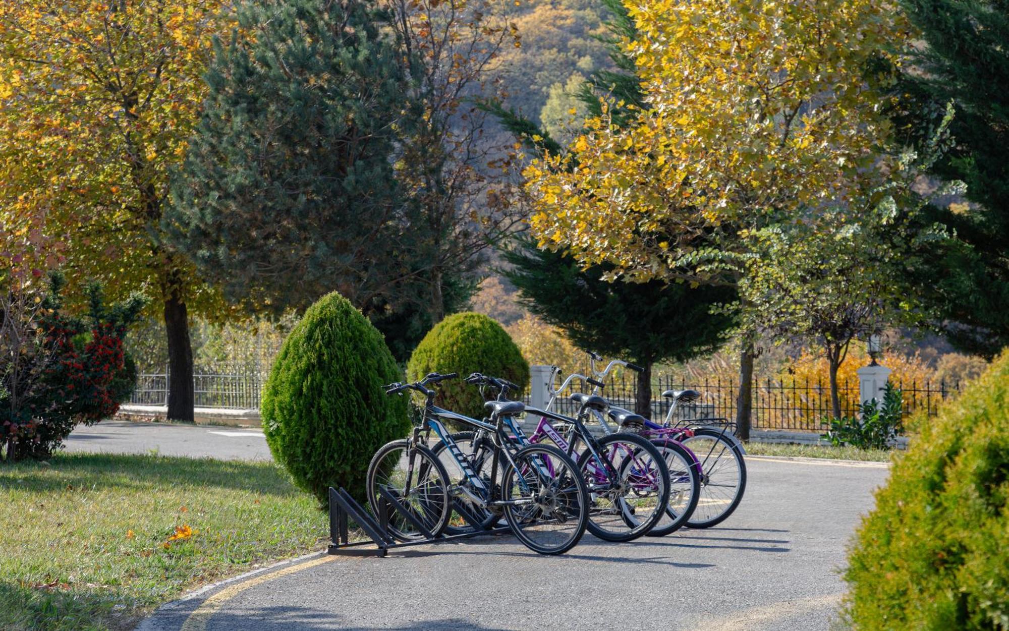 ชามาคี พาเลซ ชาราดิล Hotel Seredil ภายนอก รูปภาพ Bicycles parked at the entrance of the park